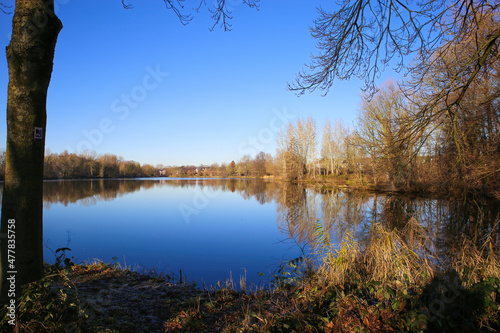 View on lake with bare trees forest against blue winter sky - Nettetal (Lobberich), Germany photo