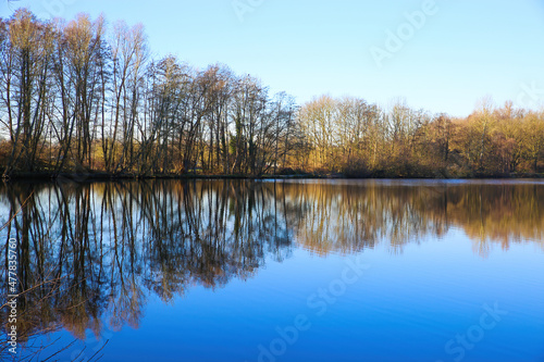 View on lake on frosty winter day with reflection of bare trees against blue clear cloudless sky - Nettetal (Lobberich), Germany photo