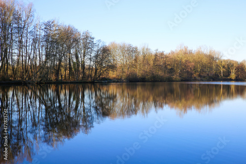 View on lake on frosty winter day with reflection of bare trees against blue clear cloudless sky - Nettetal (Lobberich), Germany