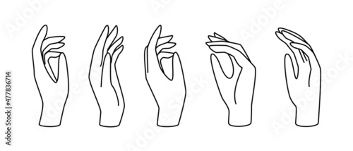 Hand gesture linear vector illustration. Thin female hand as a symbol of blessing, mercy, farewell, prayer and gratitude