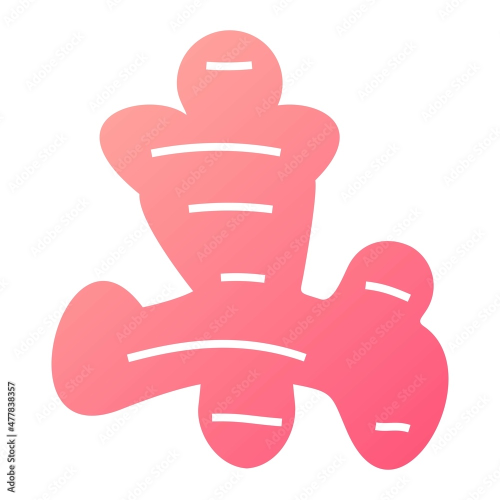 Vector Ginger Glyph Gradient Icon Design Vector Ginger Glyph Gradient Icon Design