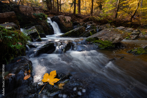 Fototapeta Naklejka Na Ścianę i Meble -  Selkefall Wasserfall im Harz Gebirge Deutschland mit Wasser und Herbst Blatt Sonne