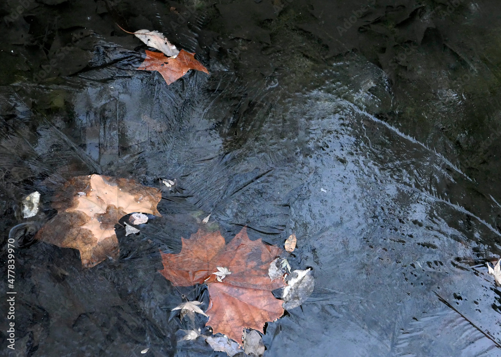 Obraz premium 混沌とした世の中。地球温暖化が懸念される今、私たちにできることは何か、何をなすべきか。私たちはあまりにも地球を傷つけすぎてしまった。これからでも遅くはない、この母なる地球に畏敬の念を抱き、私たちの子孫のためにも、この地球を守っていかなければならない。