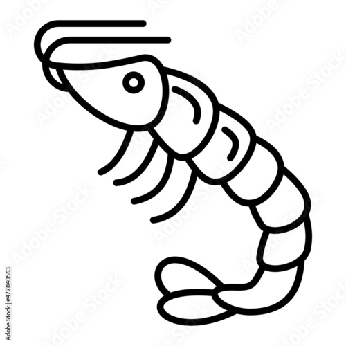 Shrimp Vector Outline Icon Isolated On White Background