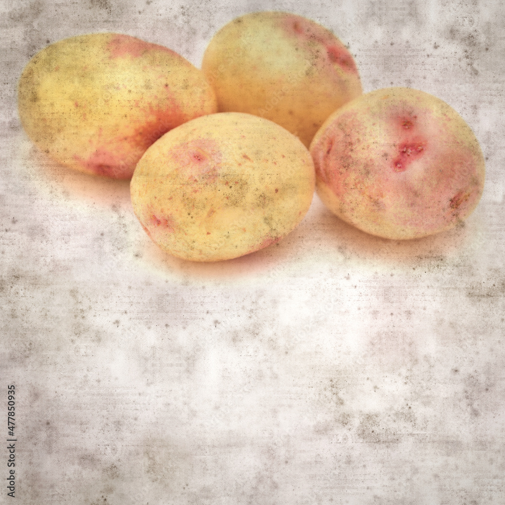 square stylish old textured paper background with new potatoes from Canary Islands square stylish old textured paper background with new potatoes from Canary Islands