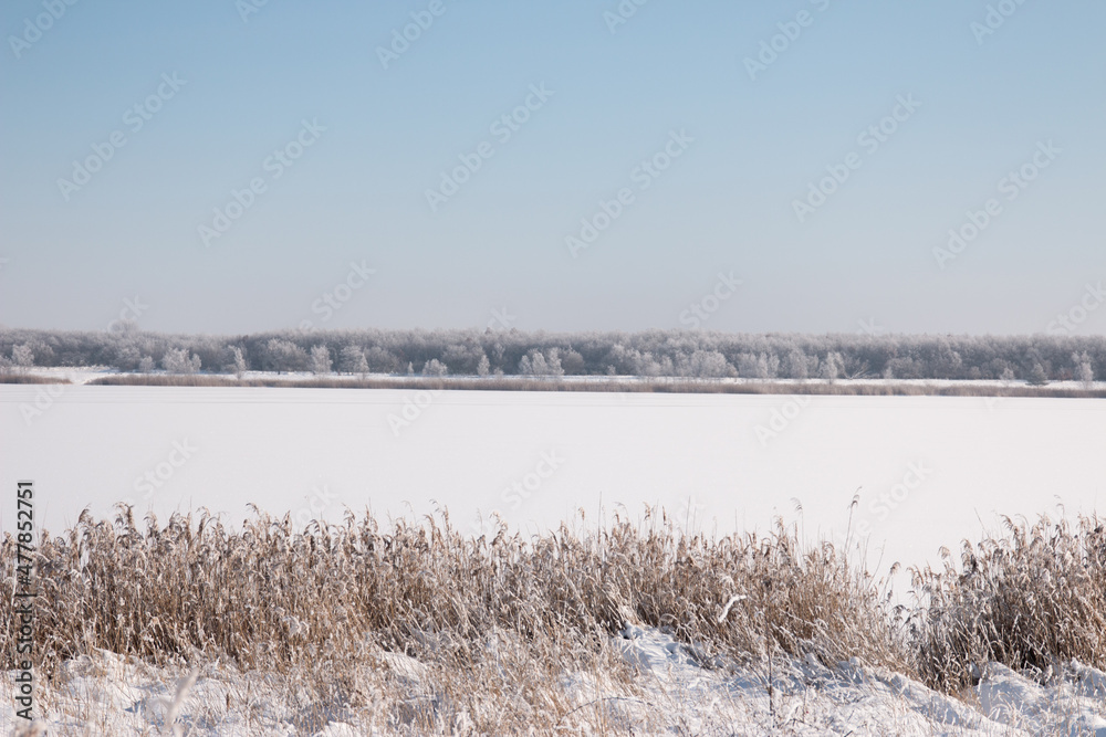 gefrorener und verschneiter See mit Schilfumrandung am tag mit blauem himmel und sonne im Winter