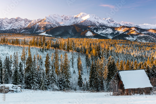 Winter Landscape in Tatra Mountains in Poland. Wooden Shepherd Hut in Snowy Forest