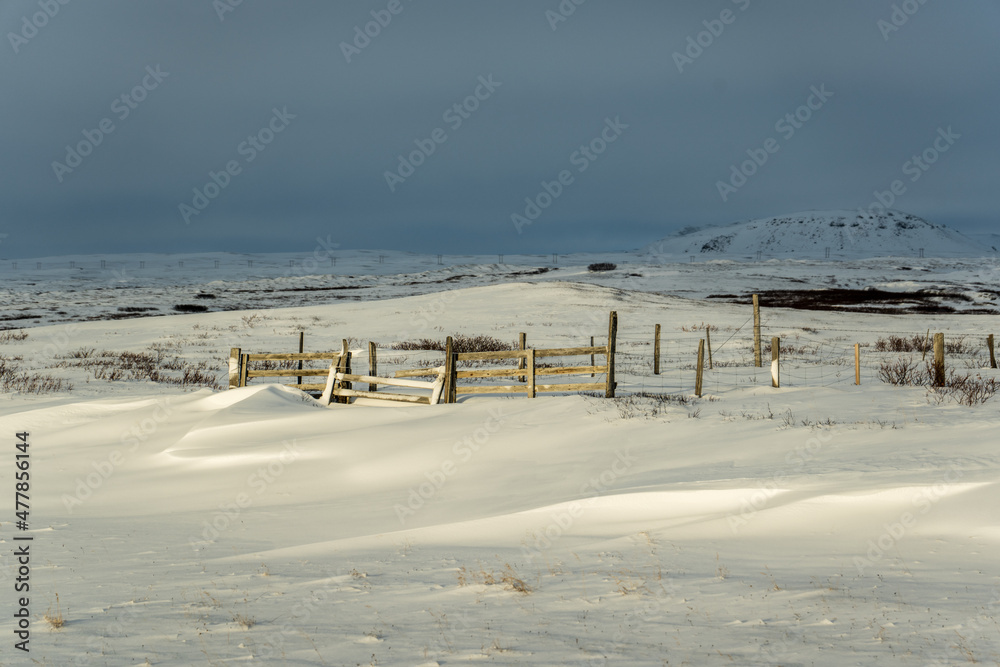 landscape with snow Iceland