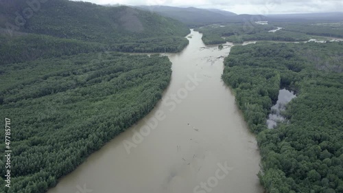 A beautiful landscape in the frame from a drone. forests and mountain river.