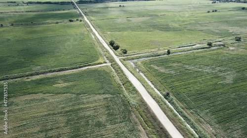 Green and gold fields aerial drone view sunset