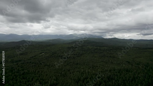 Flying on a drone, over a forest in Russia, coniferous forest, hill
