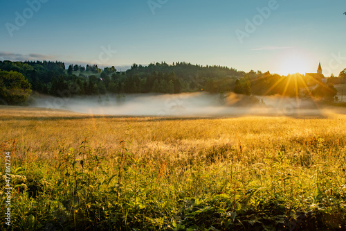 morning mist over the river