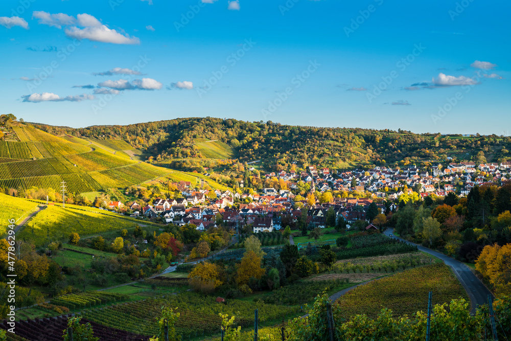 Germany, Stuttgart uhlbach houses and church between colorful vineyards landscape at sunset in autumn