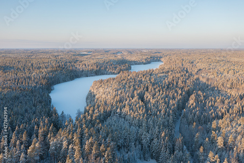 Winter forest landscape on a sunny day. Pines under the snow. drone photo. Scandinavian nature. Finland. photo