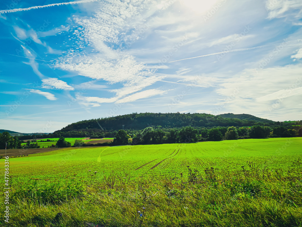 Obraz premium field and blue sky