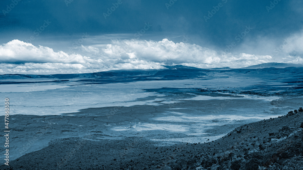 Fototapeta premium wild tanzanian animals in ngorongoro africa