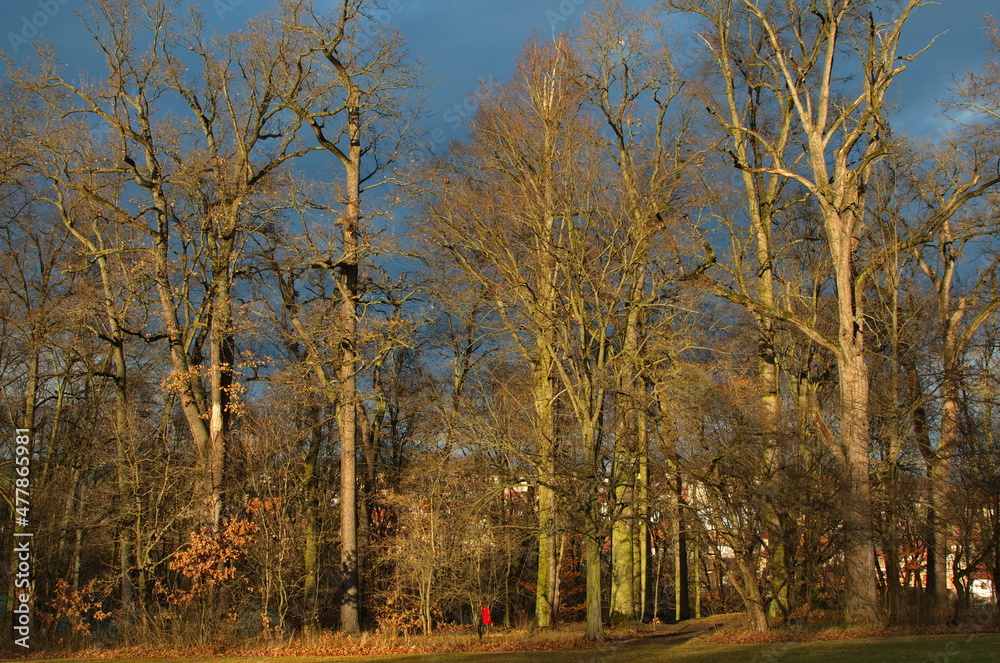 Fototapeta premium Autumn in castle garden in Vlasim,Czech Republic,Europe 