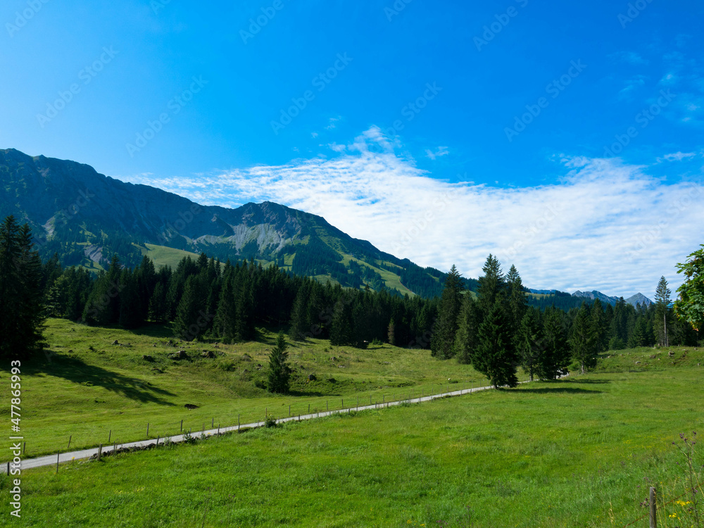 Panorama view of a idyllic summer landscape with clear mountain lake in the bavarian alps against blue sky.
