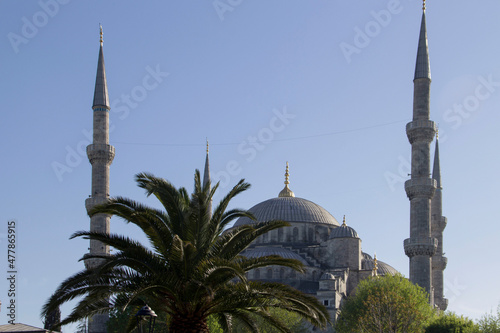 Mosque behind the trees in the city in istanbul, turkey
