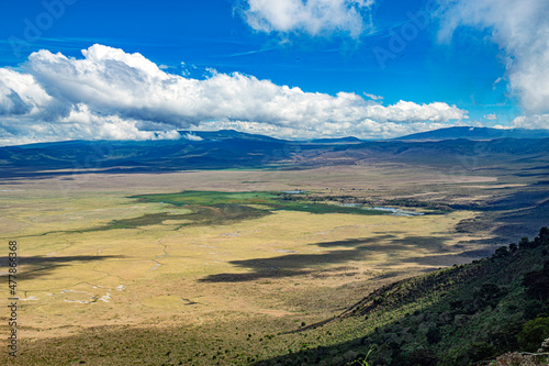 Ngorongoro crater wild life in tanzania © Olivier