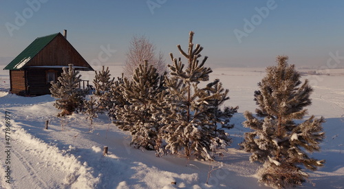 Russia. Kemerovo region - Kuzbass. Kuznetsk Alatau. Frost-covered trees illuminated by the evening sunset sun on the snow-covered bank of the Uskat River.
