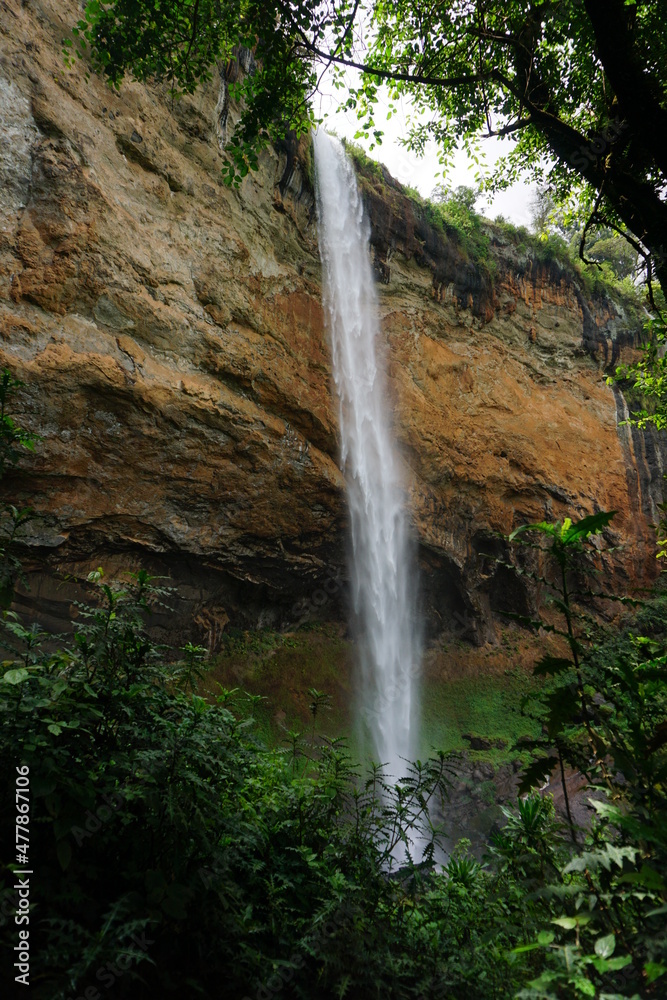 One of the Sipi Falls at Mount Elgon National Park in between lush vegetation One of the Sipi Falls at Mount Elgon National Park in between lush vegetation