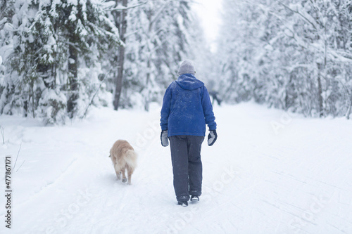 Walking with a dog in winter in the forest. Winter forest and dog. © Александр Поташев