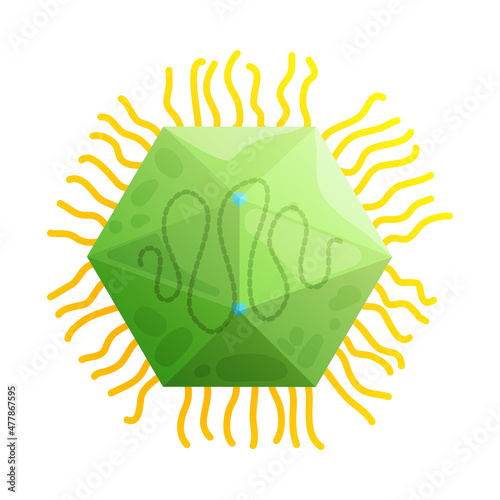 Mimiviridae Human Virus Composition