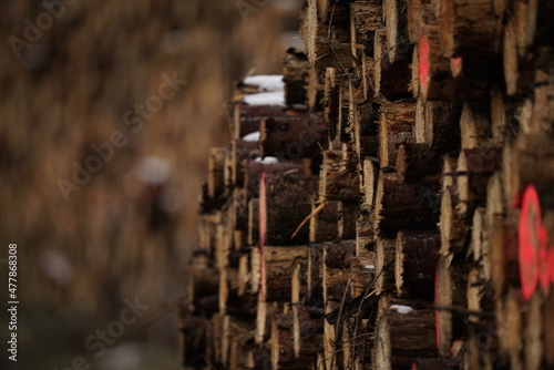 Stapel aus Holz  Waldwirtschaft mit liegenden Baumst  mmen