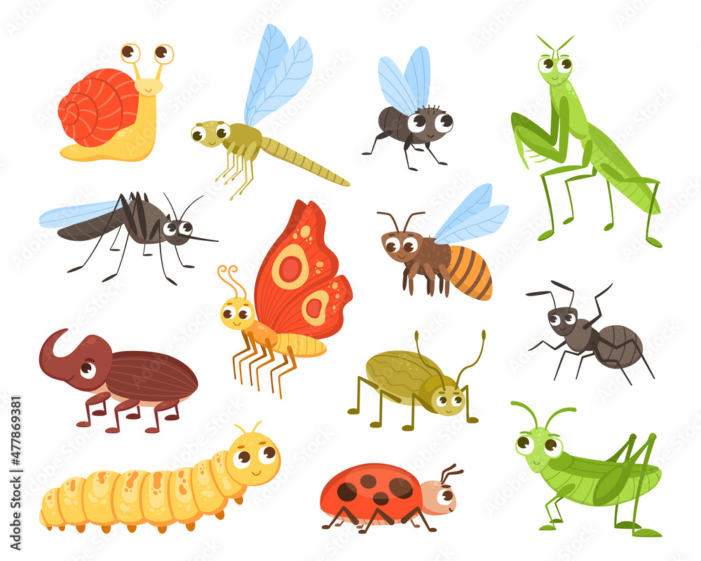 Cute insects. Cartoon bug and butterfly mascots. Ladybug and dragonfly.  Colorful beetles and snail with happy faces. Funny caterpillar or mosquito  characters. Vector small animals set Stock Vector | Adobe Stock