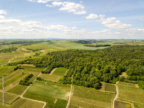 Aerial Drone Panorama of Vineyards and fields of the Rheinhessen area at Großwinternheim close to Ingelheim on a sunny day with clouds	