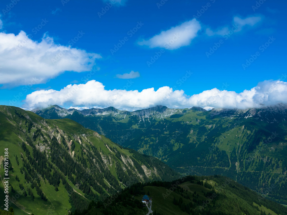 Idyllic landscape in the austrian Alps with a view of pine trees on the hills. Mountain peaks in the background. Tannheimer Tal, Austria