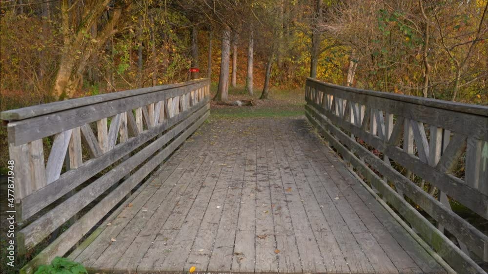 Narrow wooden bridge over small stream in pristine nature. Colorful autumn season. Vibrant landscape. Tilt up Narrow wooden bridge over small stream in pristine nature. Colorful autumn season. Vibrant landscape. Tilt up
