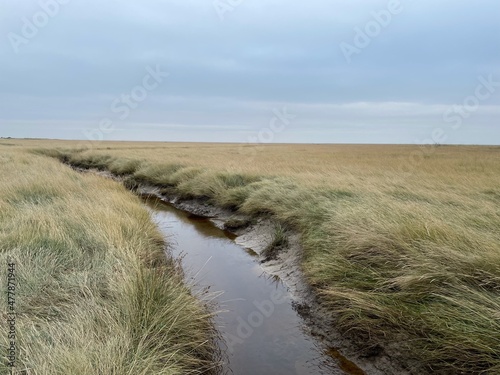 Dieser Priel durchzieht die Salzwiesen im Ostland der Insel Borkum. Eine Brücke überquert ihn auf dem Weg von der Steernklippdüne zum Hoge Hörn am Ostende der Insel  photo