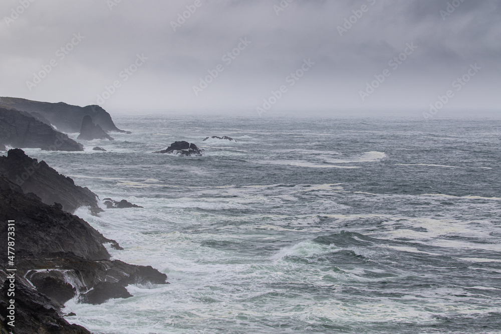 Waves on the Pacific Ocean coastline in Oregon
Waves on the Pacific Ocean coastline in Oregon