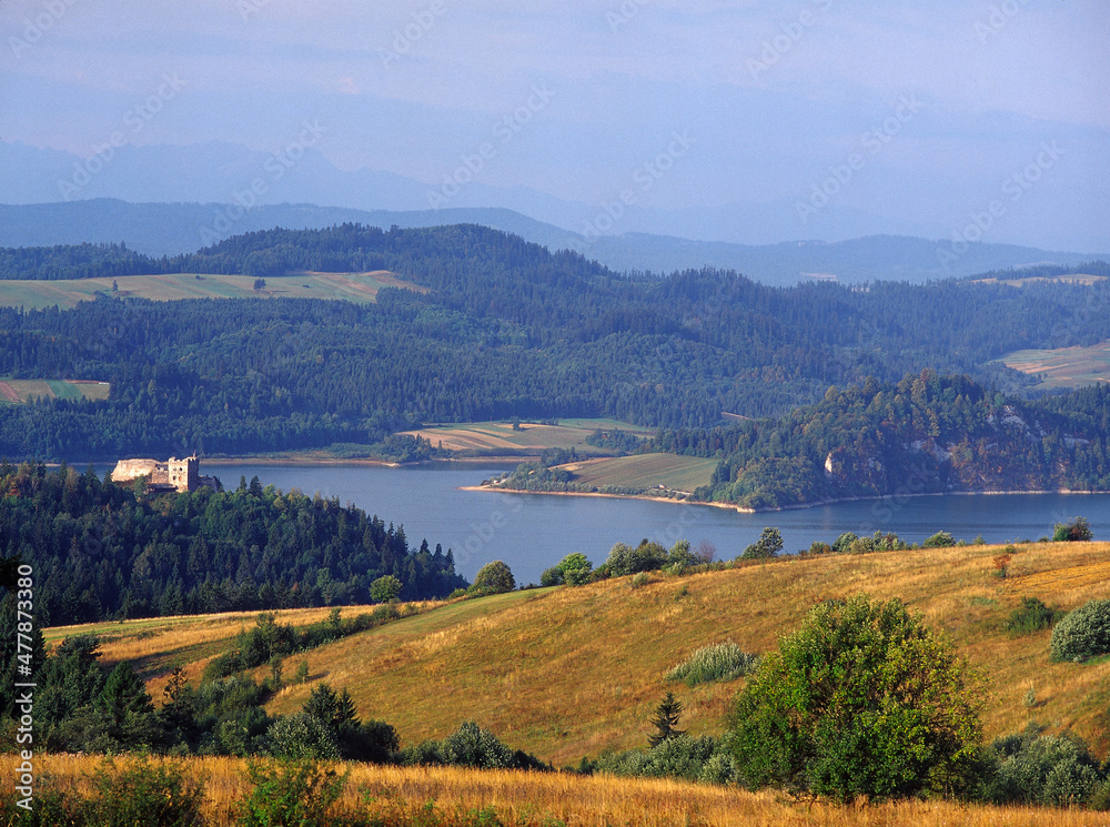 Naklejka premium Czorsztyn Lake, ruins of Czorszyn castle, Pieniny Mountains, Poland