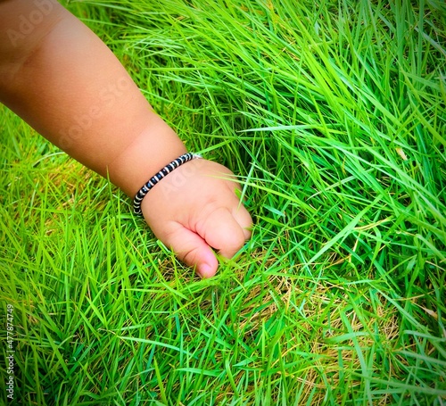 Tiny hands on the grass © Vinodh