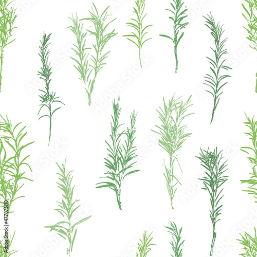 Rosemary grunge retro pattern. Rosemary herb abstract vintage background. Herbal plant. Gardening, culinary and aromatherapy.