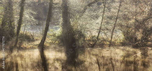 Canvas Print River trees Aveyron Occitanie