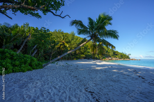 Fototapeta Naklejka Na Ścianę i Meble -  beautiful  tropical beach anse georgette on praslin on the seychelles