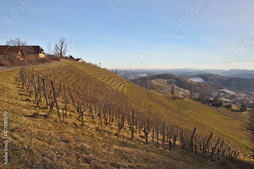 Sunny  spring  landscape with South Styrian vineyards  known as Austrian Tuscany.A charming region on the border between Austria and Slovenia with rolling hills  picturesque villages and wine taverns.