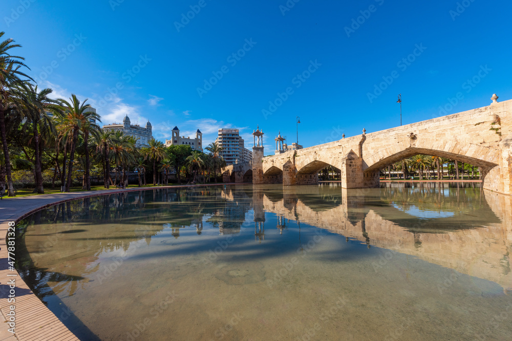 Palm trees and ponds in the city park of the city of Valencia. Spain.