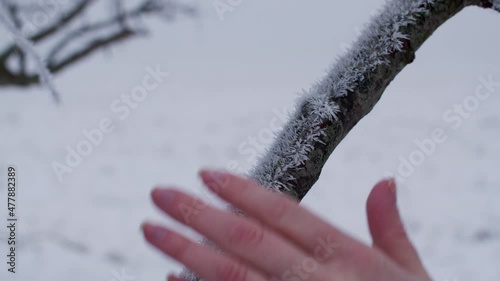 Hand of a woman grabbing around frozen tree twig covered in ice.