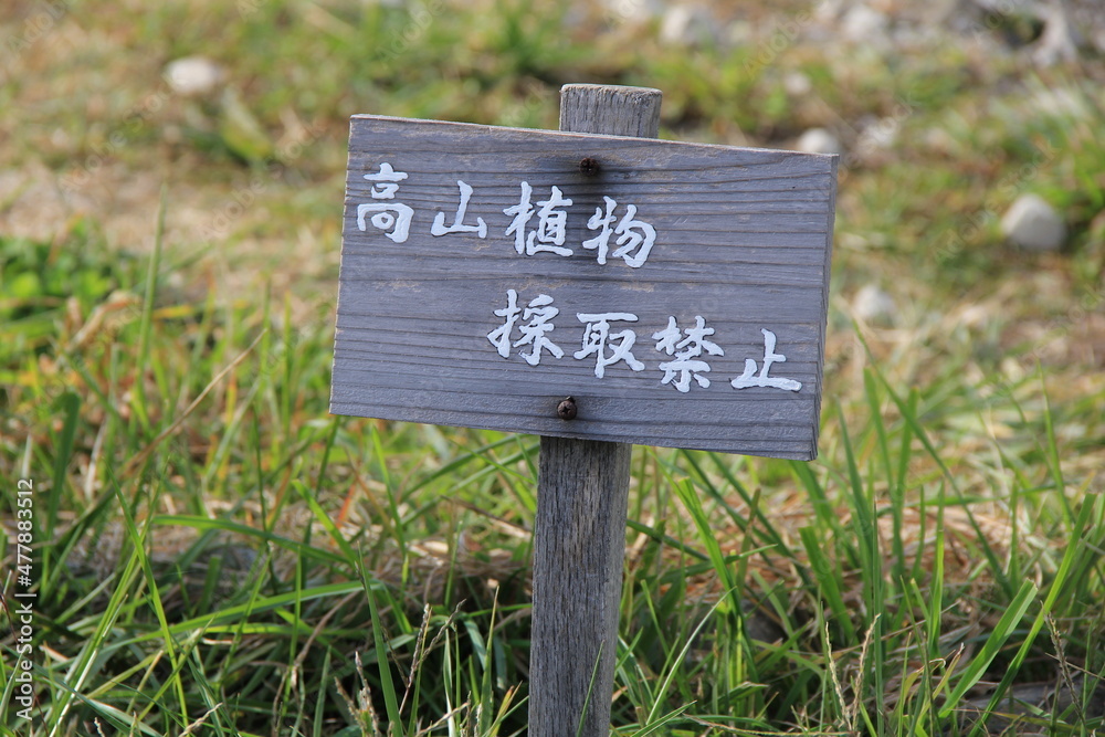 「高山植物採取禁止」の注意看板