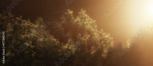 Green tree forest with fog on a mountain. 3d Rendering Artwork. Sunset or Sunrise Glow. Nature Background