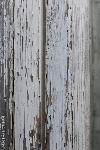 The old white grey wooden texture vintage or dirty