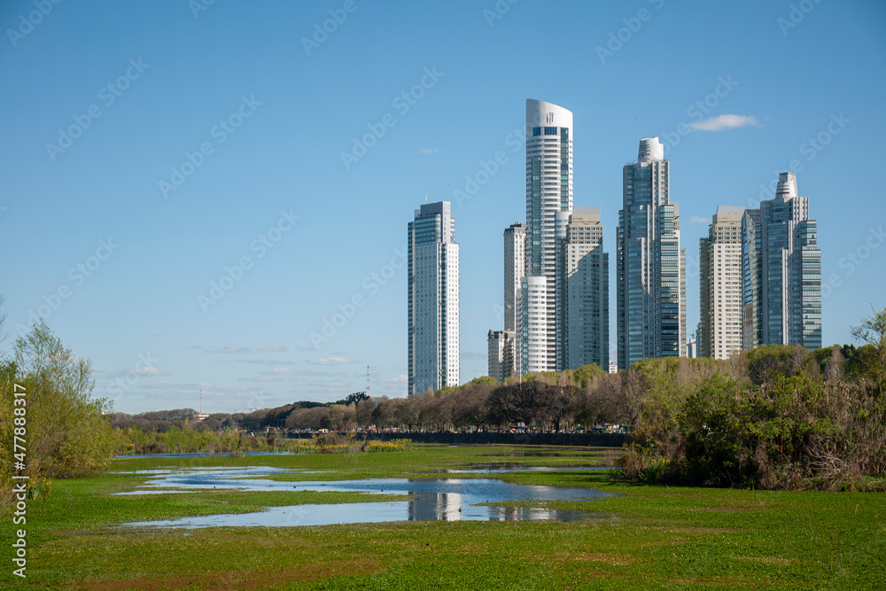 Puerto madero seen from the Costanera Sur Ecological Reserve