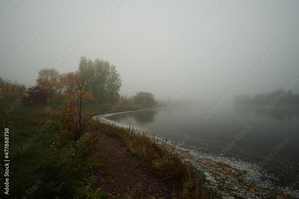 morning in the fog morning in the fog