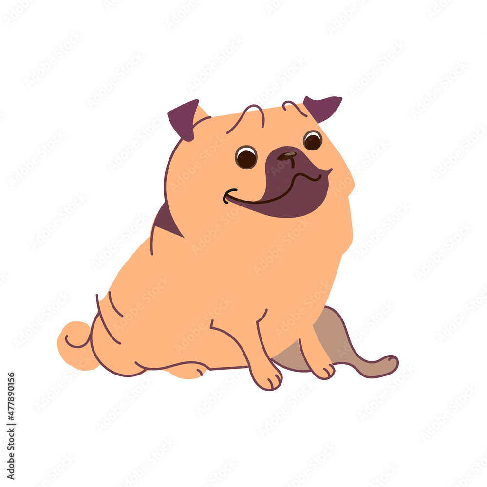 Pug is sitting. Vector illustration in flat style isolated on white background.