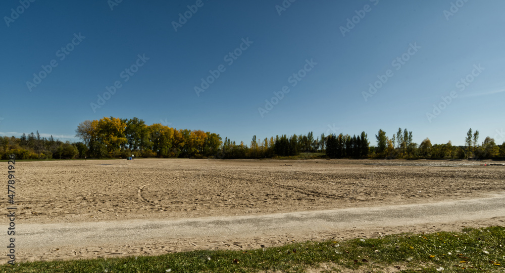 Fototapeta premium landscape with trees